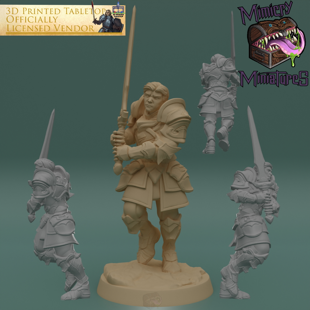 Adventurer Group 1 - The Lost Adventures from 3D Printed Tabletop image 8